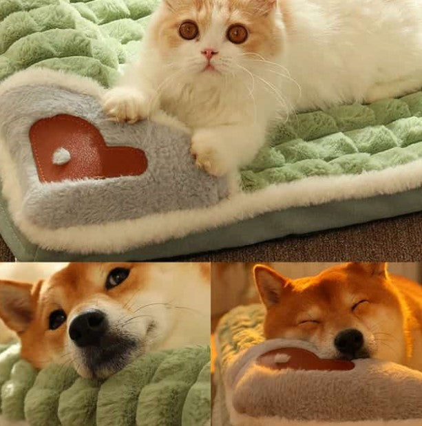 Cama para Mascotas Ortopédica